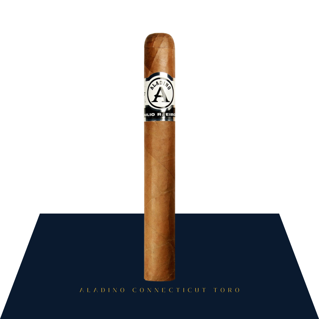 Aladino Connecticut Toro