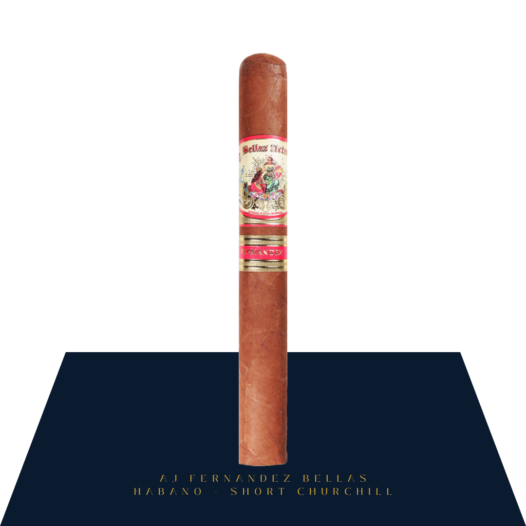 Bellas Artes Habano Short Churchill