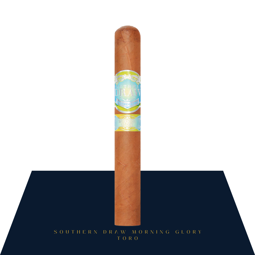 Southern Draw Morning Glory 6 x 52 premium cigar