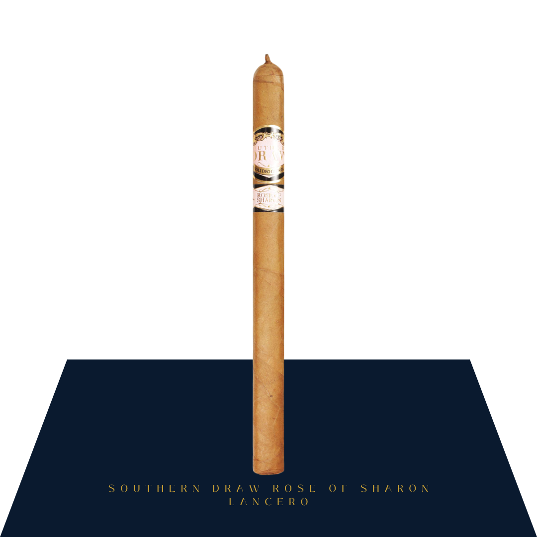 Southern Draw Rose of Sharon Lancero (5-Pack)